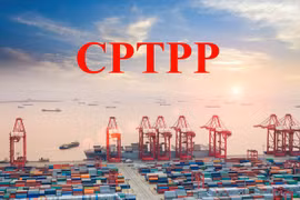 Le Vietnam et la Nouvelle-Zélande préparent l’entrée en vigueur du CPTPP