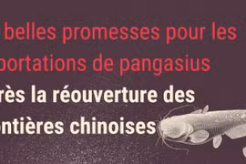 De belles promesses pour les exportations de pangasius après la réouverture des frontières chinoises