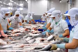 Douze entreprises vietnamiennes autorisées à exporter des produits aquatiques vers l’Arabie saoudite