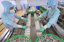 Exportations de 26,1 milliards de dollars de produits agro-sylvicole et aquatique en huit mois
