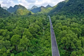 Le parc national de Cat Ba – "poumon vert" au milieu de la mer 