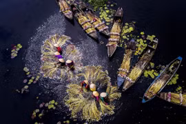 La beauté des quatre saisons dans la province de Long An 