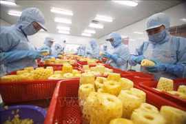 Presse malaisienne : les exportations de fruits vietnamiens en plein essor