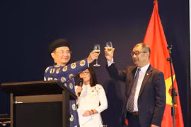 Les Vietnamiens d'Australie, du Canada et d'Arabie Saoudite célèbrent le Têt du Cochon