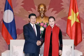 L’Assemblée nationale vietnamienne soutient la coopération gouvernementale Vietnam-Laos