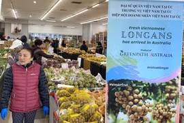 Une journée des longanes vietnamiens frais en Australie