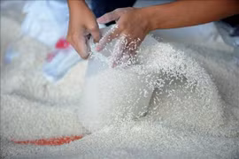 Bon signe pour les exportations de riz d’ici la fin de l’année