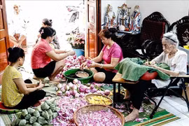 Avec sa longue histoire et son lien étroit avec la célèbre région du lac de l'Ouest, cet artisanat est devenu un symbole de la culture culinaire de Hanoi. Photo: VNA