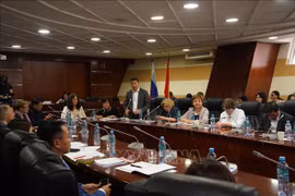 Le président de l'Union des organisations d'amitié du Vietnam, Phan Anh Son, s'exprime lors d'un séminaire dans le cadre de la 9e Journée du Vietnam. Photo: VNA