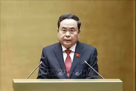 Le président de l'Assemblée nationale, Tran Thanh Man. Photo. VNA