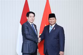 Le président Luong Cuong (gauche) et son homologue indonésien, Prabowo Subianto. Photo: VNA