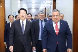Le président vietnamien Luong Cuong (gauche) et le président du Conseil des ministres du Pérou, Gustavo Adriazén. Photo: VNA