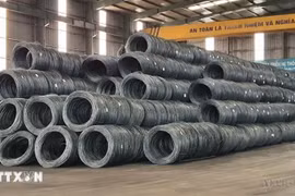 Produits de la société d'acier Vietnam-Allemagne. Photo: VNA