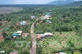 Un tronçon de l'autoroute Khanh Hoa - Buon Ma Thuot, traversant la commune d'Ea Kenh, district de Krong Pac, province de Dak Lak. Photo: VNA