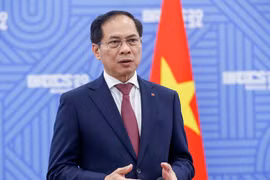 Le vice-Premier ministre et ministre des Affaires étrangères Bui Thanh Son.Photo : VNA