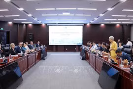 La séance de travail entre Da Nang et la délégation suédoise. Photo : VNA