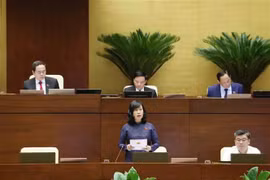La ministre de la Santé Dao Hong Lan à la séance de réponse aux questions des députés. Photo : VNA