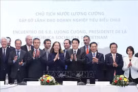 Le président Luong Cuong rencontre des chefs d'entreprise chiliens typiques. Photo : VNA