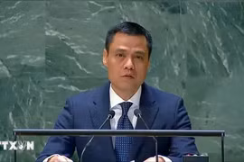 L'ambassadeur Dang Hoang Giang, chef de la Mission permanente du Vietnam auprès de l'ONU. Photo : VNA