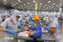 Transformation des pangasius pour exportation. Photo : VNA