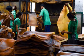 La Thaïlande devient le premier exportateur mondial de caoutchouc