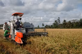 De nombreux contrats d'exportation de riz ont été signés