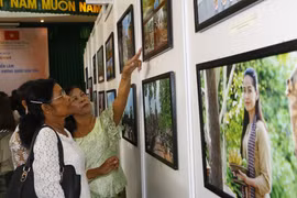 Ouverture de l'exposition "Cambodge - Royaume culturel" à Can Tho