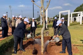 Lancement de la fête de plantation d’arbres dans différentes localités