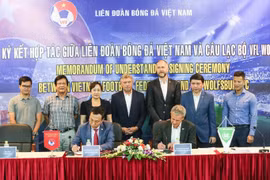 Le Vietnam et l'Allemagne coopèrent pour promouvoir le développement du football