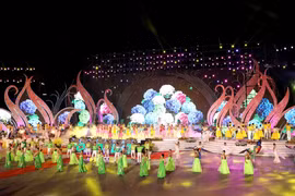 Ouverture du Festival des fleurs de Da Lat 2019
