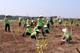 Organisation du programme « I Green We Green Vietnam » à Nam Dinh