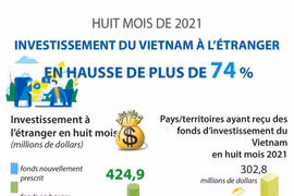 Investissement du Vietnam à l'étranger en hausse de plus de 74%