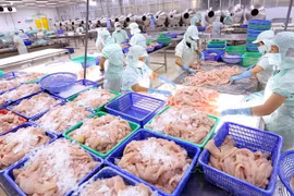 Produits aquatiques: les exportateurs nationaux face à de grandes opportunités en 2022
