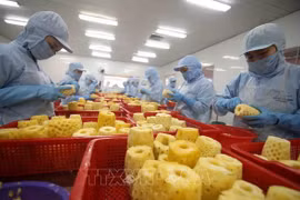 Des impacts du conflit russo-ukrainien sur les produits agricoles vietnamiens