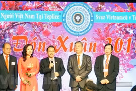 Des Vietnamiens à l’étranger fêtent le Nouvel An 2019
