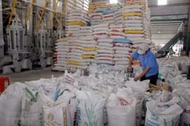 Le Vietnam exporte 2,83 millions de tonnes de riz en cinq mois
