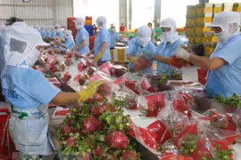 Pour promouvoir les exportations de fruits et légumes en Chine 
