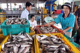 Kien Giang promeut l'exploitation de nouveaux marchés potentiels