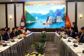 Vietnam-Laos : la 6e consultation entre les deux ministères des AE