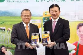 Le riz vietnamien ST25 est désormais présent sur le marché japonais