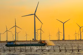 Pour promouvoir le développement de l'éolien offshore