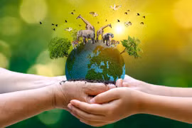 Conservation efficace des espèces sauvages