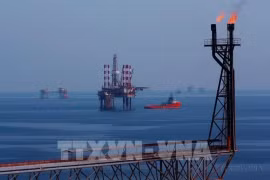 Sur le champ pétrolier de Bach Ho (Photo : VNA)