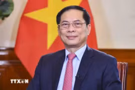 Le ministre des Affaires étrangères Bui Thanh Son. Photo : VNA