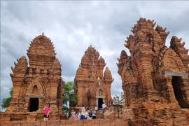 Des touristes visitent le tour Po Klong Garai. Photo : VNA
