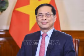 Le ministre vietnamien des Affaires étrangères Bui Thanh Son. Photo : VNA