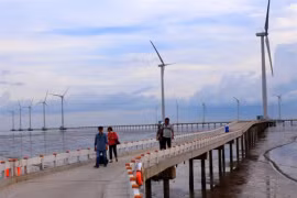 Bac Lieu envisage de devenir un pôle d'exportation d'énergie renouvelable. Photo : VNA