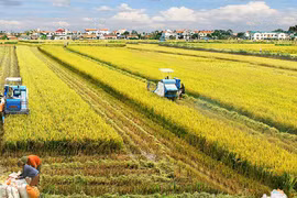 Croissance et développement inclusifs, double mission du secteur agricole en 2023