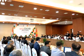 Vietnam et Inde valorisent des potentiels de coopération pour développer
