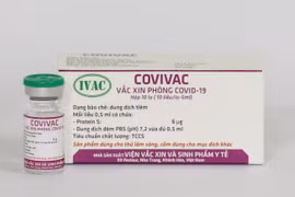 Le 10 août, le vaccin « made in Vietnam » Covivac entamera sa 2e phase d'essai
